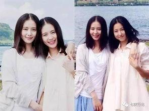 娱乐吃瓜酱替身文学