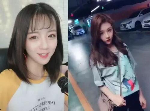 主播和网红的区别,揭秘两者间的差异与特点